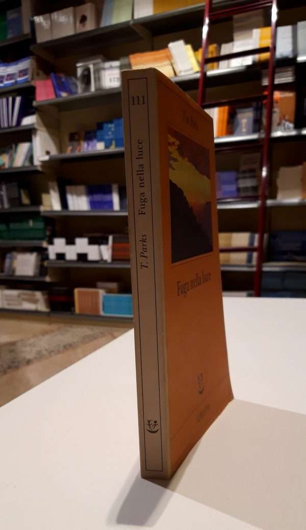 Fuga nella luce - immagine 2
