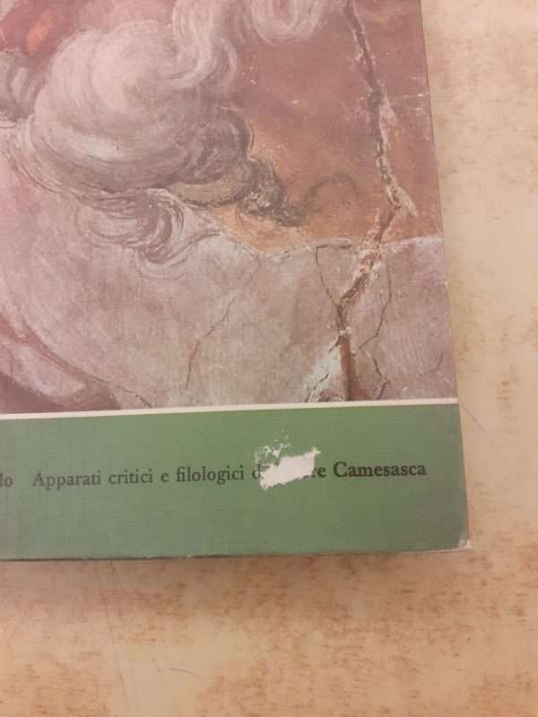L'opera pittorica completa di Michelangelo - immagine 3