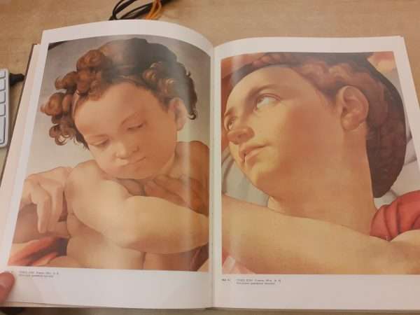 L'opera pittorica completa di Michelangelo - immagine 6