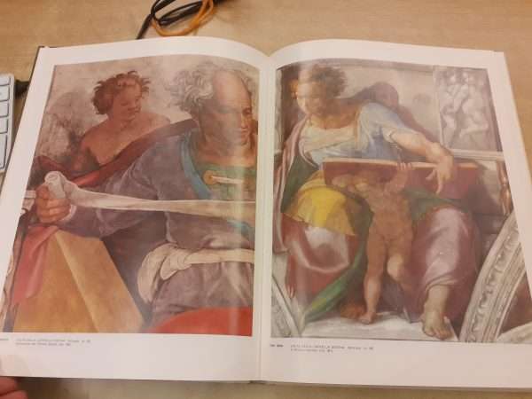L'opera pittorica completa di Michelangelo - immagine 7