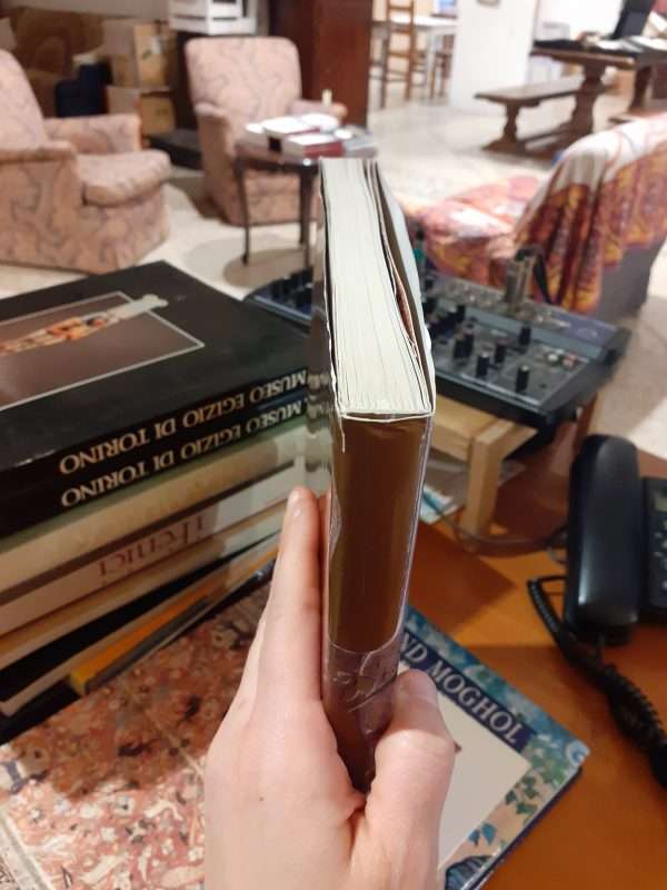 Splendori a corte. Arti del mondo islamico nelle collezioni del Museo Aga Khan - immagine 2