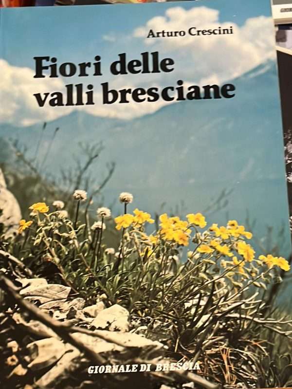 Fiori delle valli bresciane