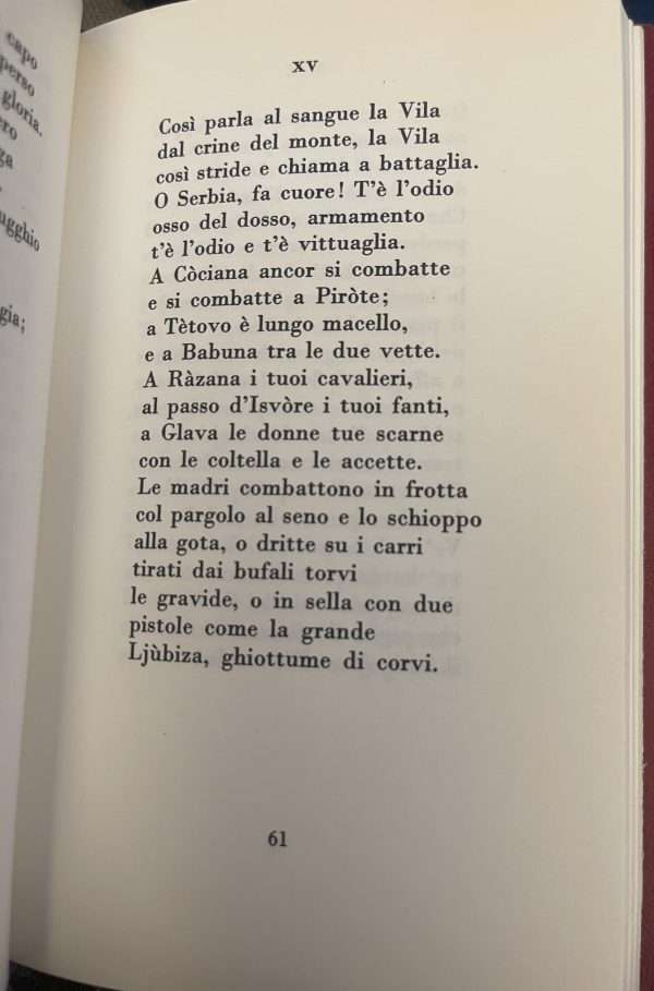 Asterope - immagine 3
