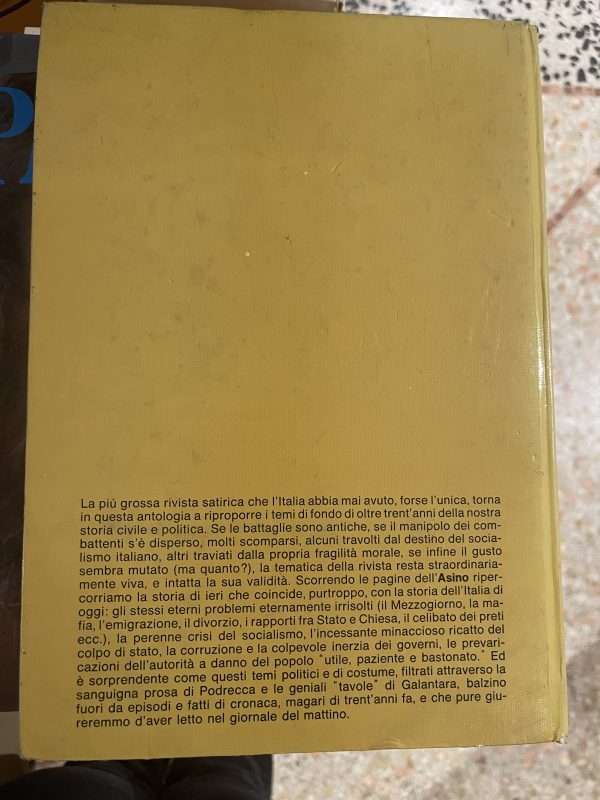 L'asino - immagine 4
