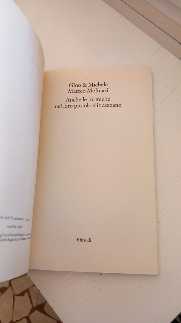 Anche le formiche nel loro piccolo si incazzano - immagine 7