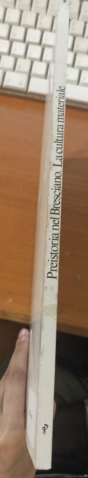 Preistoria nel Bresciano. La cultura materiale - immagine 3