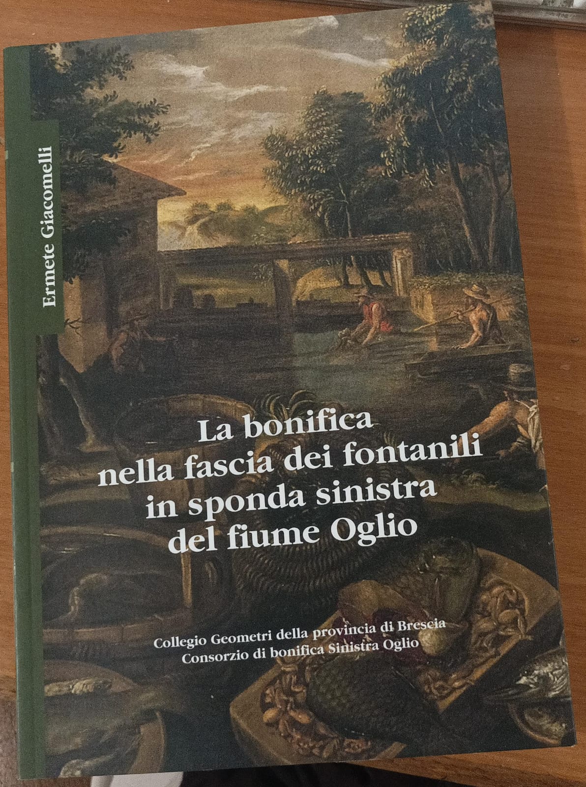 La bonifica nella fascia dei fontanili in sponda sinistra del fiume Oglio