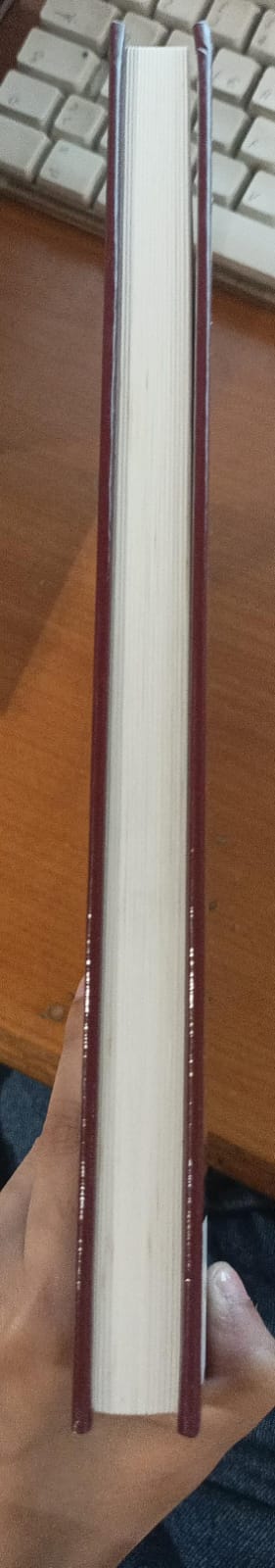 Dello - Boldeniga Corticelle Quinzanello nei secoli - immagine 2