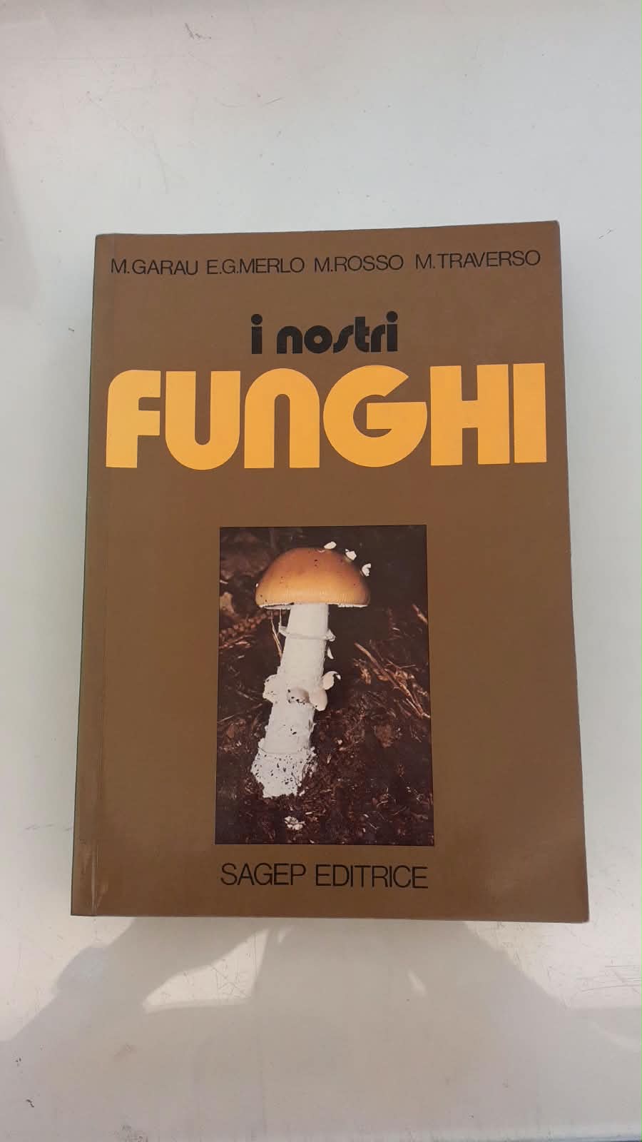 I NOSTRI FUNGHI