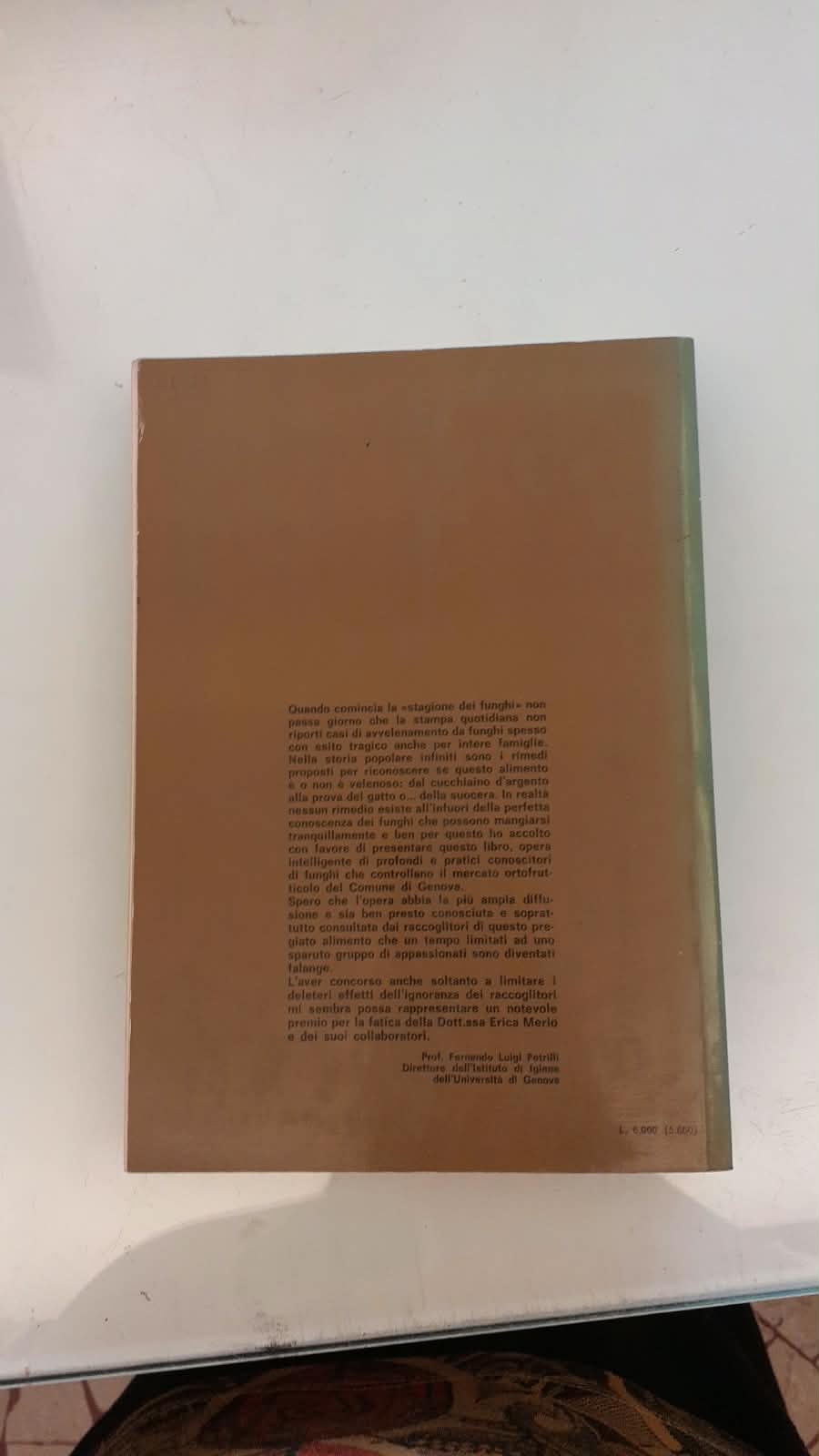 I NOSTRI FUNGHI - immagine 2