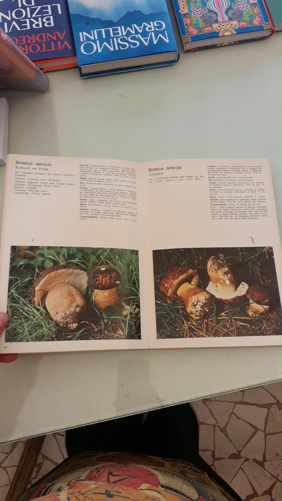 I NOSTRI FUNGHI - immagine 7