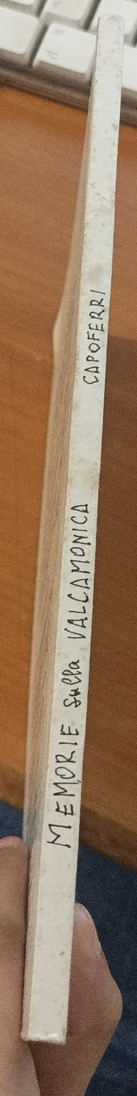 Memoria sulla Valcamonica - immagine 3